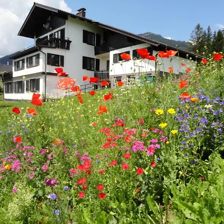 Fuchs Apartment Bad Mitterndorf